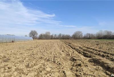 Teren de 2500 mp, în Sud - 3