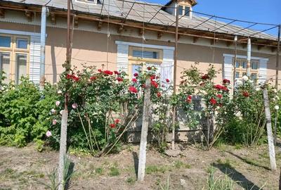 Casă cu 6 camere cu Teren 1094 Mp în Huși - 4
