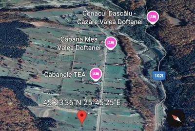 Teren de 3465 mp, în Trăisteni - 9