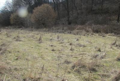 Teren în Central - 1