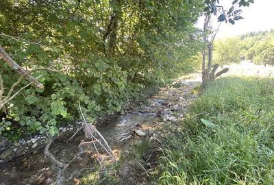 Teren extravilan de vanzare in Rasnov | 6.070 mp | Vedere panoramica - 11