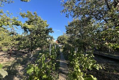 Casă individuală cu 3 camere cu Canalizare în Ronaț - 25