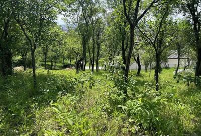 Teren de 372 mp, în Valea Roșie - 4