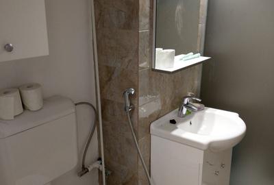 Apartament cu 2 camere semidecomandat în Iancului - 4