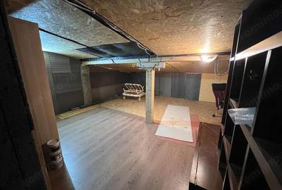 Casa intr-o zona rezidentiala, 130 mp utili, curte matura -Matei Millo - 1