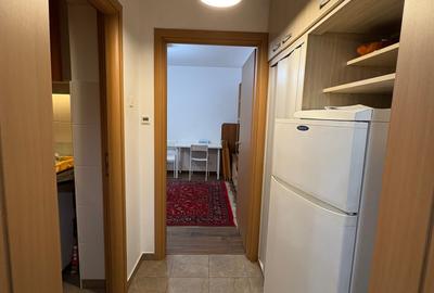 Apartament 2 camere - Herastrau - Aviatorilor  - BOXA - 6