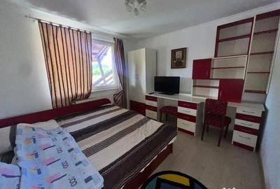 Spațiu comercial, de 324 mp, în Sovata - 3