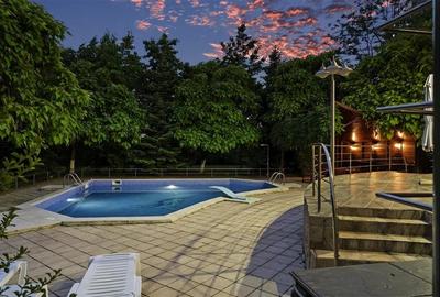 Casă individuală cu 10 camere cu Piscina în Iancu Nicolae - 32