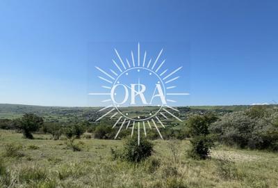 Teren agricol extravilan de 15700 mp, în Iris - 1