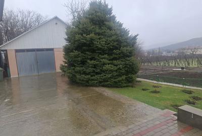 Casă cu 4 camere în Central - 2