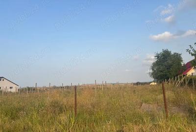 Teren de 5000 mp, în Mineri - 2