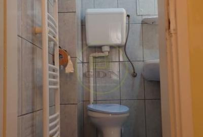 Casă individuală cu 3 camere cu Canalizare în Lupeni - 17