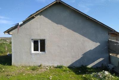 Casă cu Teren 1500 Mp în Dobromir - 4