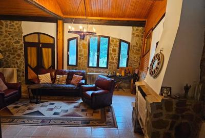 Casa 6 camere, 240mp utili, 2800mp teren - 12