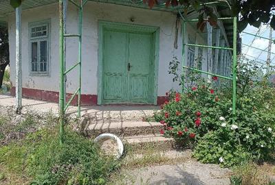 Casă cu 4 camere cu Teren 1490 Mp în Tămăoani - 6