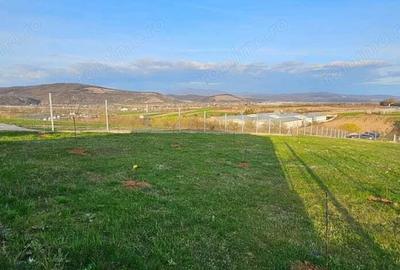 Teren intravilan cu proiect constructie casa, situat in Mintia - 2