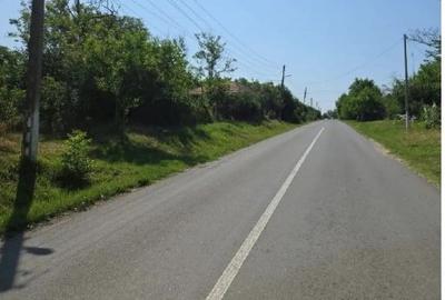 Casă cu 1 camere cu Teren 1200 Mp în Cucuruzu - 5