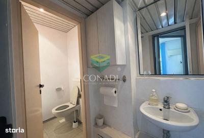 Apartament cu 3 camere în Magheru - 9