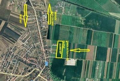 Teren intravilan cu PUZ in Bod