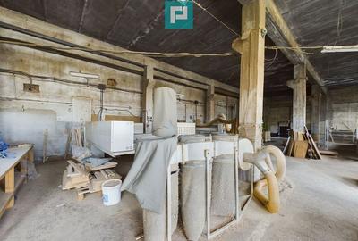 Fabrica de prelucrare a lemnului ?i palului - 2