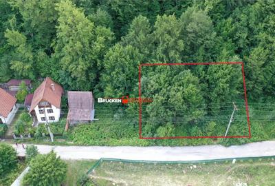 TEREN INTRAVILAN CONSTRUIBIL 400 mp | Statiunea Boga,... - 7