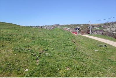 Teren Construcții extravilan de 20000 mp, în Șorogari - 4