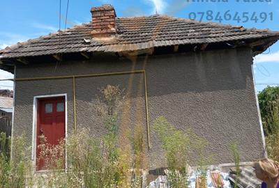 CASA  PITOREASCA DE VANZARE BRANESTI - DAMBOVITA - 5