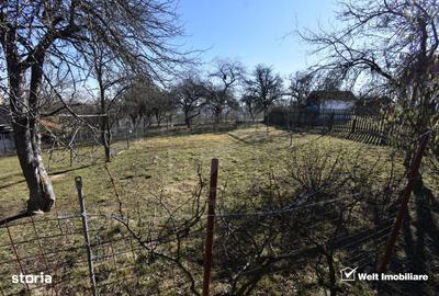 Teren de 800 mp, în Mănăstireni - 2