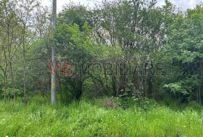 Dragomiresti Deal - Strada Pinului - 3