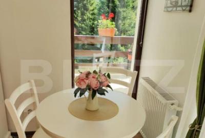 Studio cochet Predeal mobilat, utilat, vedere superba! - 2