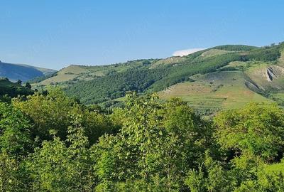 Teren de 2082 mp, în Vălișoara - 4