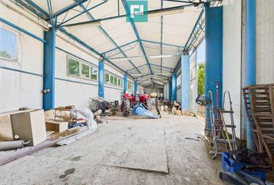 Cladire cu 5 camere cu teren ?i hala in Cenad - 10