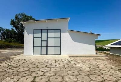 Hala Depozitare, Productie, zona Iris Hala Depozitare, Productie, zona Iris - 2