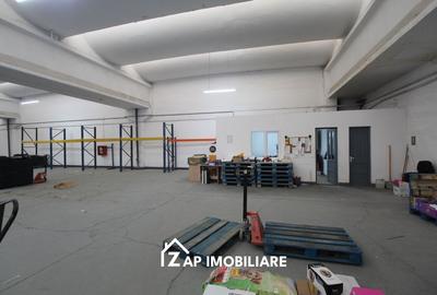 Spațiu industrial, de 250 mp, în Gheorghe Doja - 10
