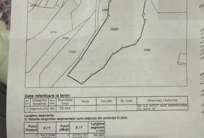 Teren de 20424 mp, în Cerbăl - 1