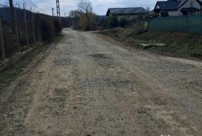 Teren de 1350 mp, în Dorobanț - 13