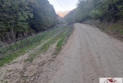 Vanzare casa cu 17.399 mp teren in Vintu de Jos - Valea Vintului - 10