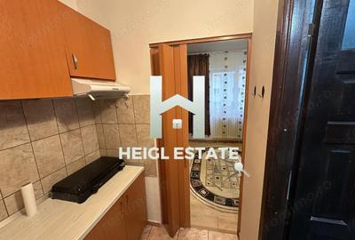 Apartament cu 1 camera in zona Buziasului - 3