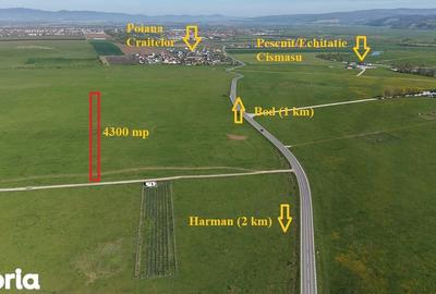 Teren de 4300 mp, în Sânpetru - 4