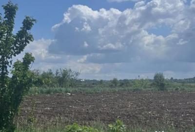 Teren de 7800 mp, în Rădăuți - 1