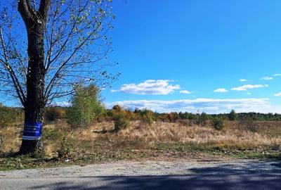 TEREN INTRAVILAN ȘI EXTRAVILAN BAIA DE FIER - 3