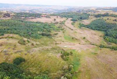 Vând Teren Extravilan Beceni, Jud. Buzău 63.000 mp - 1