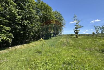 Teren agricol intravilan de 55600 mp, în Codru Butesii - 12