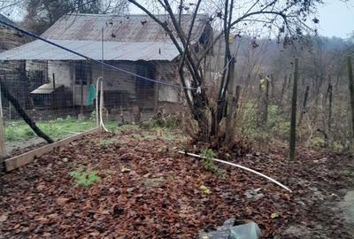 Casă cu 3 camere în Valea Cucului - 6