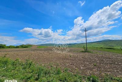 Teren de 5800 mp, în Șieu - 3