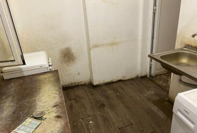 Nerva Traian Timpuri Noi - 6