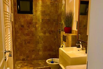 Inchiriez apartament 2 camere cu gradina si terasa - 2