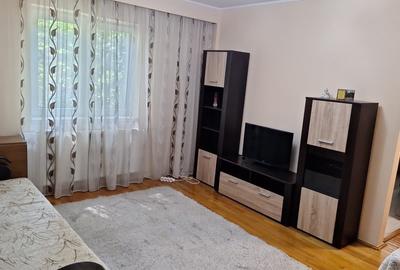 Apartament cu 2 camere semidecomandat în Exterior Vest - 3