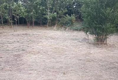 Teren de 775 mp, în Polovragi