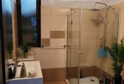 Casa duplex 4 camere- 148 mp utili-curte jacuzzi, intrarea in Cisnadie - 17